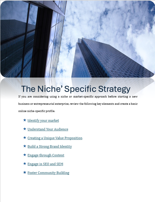 Niche Specific Online Business Launch Guide